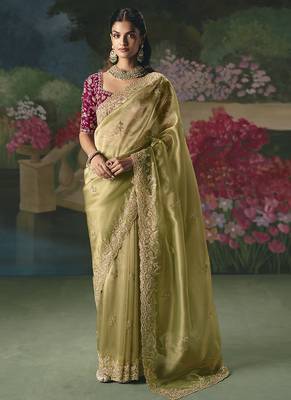 Fancy fabric embroidered saree in pista green 1