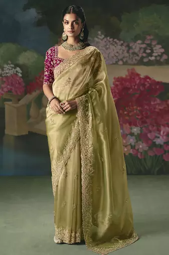 Fancy fabric embroidered saree in pista green