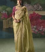 Fancy fabric embroidered saree in pista green