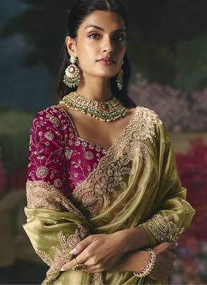 Fancy fabric embroidered saree in pista green 2