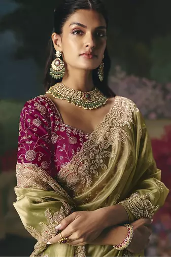Fancy fabric embroidered saree in pista green