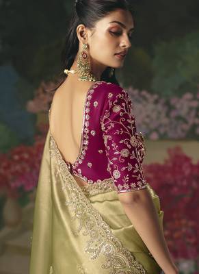 Fancy fabric embroidered saree in pista green 3