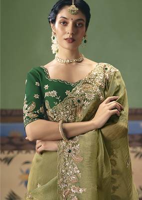 Pista green fancy fabric embroidered saree 2