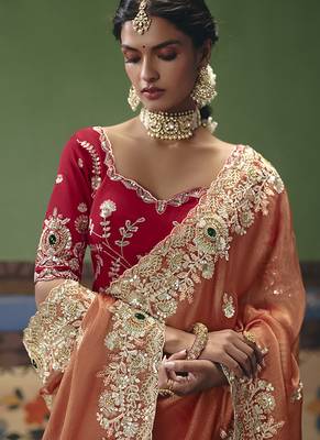 Coral fancy fabric embroidered saree 2