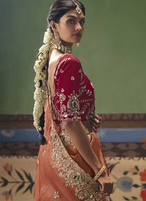 Coral fancy fabric embroidered saree 3