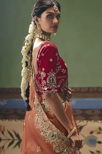 Coral fancy fabric embroidered saree