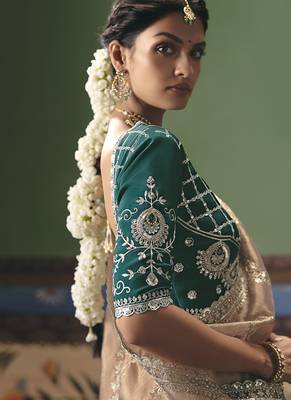 Beige fancy fabric embroidered saree 2