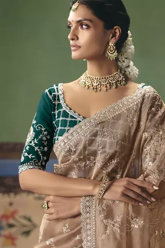 Beige fancy fabric embroidered saree