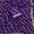 Purplecolor golden zari with 3 mm sequence work chiffon Saree