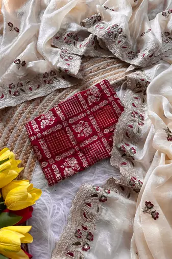 cream shimmer silk embroidered saree with red blouse