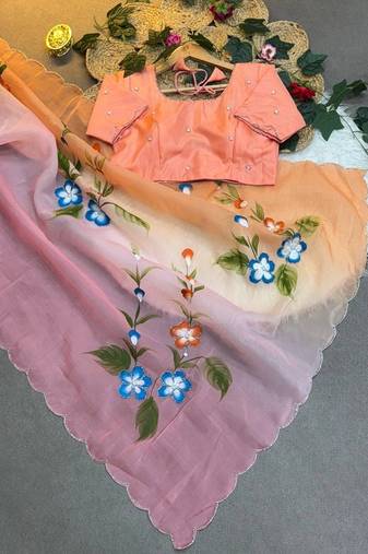 Soft padding handpaint with handwork cut dana work saree with blouse