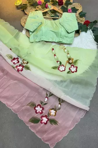 Soft padding handpaint with handwork cut dana work saree with blouse