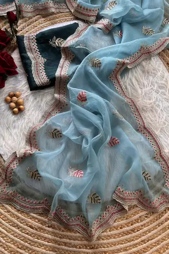 sky blue chiffon saree with embroidery border