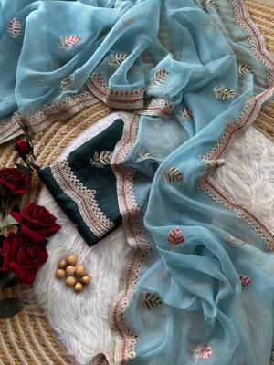 sky blue chiffon saree with embroidery border 4
