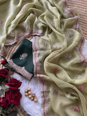 parrot green chiffon saree with embroidery border 2