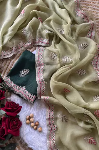 parrot green chiffon saree with embroidery border
