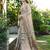 Grey organza silk bandhani patola weaves saree with matching blouse piece