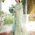 Sea green organza silk bandhani patola weaves saree with matching blouse piece