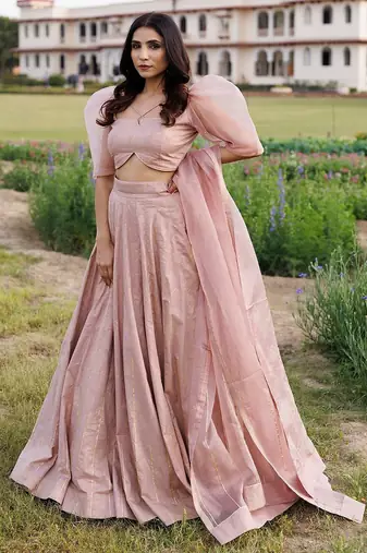 Rose Shadow Pink Handblock Printed Lehenga Set