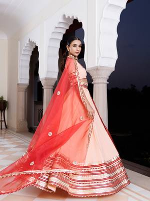 Vanilla Pink and Red Cotton Lehenga Set 2
