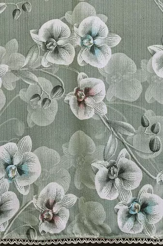 pista floral printed georgette silk blend saree