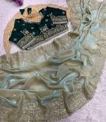 light green satin saree with embroidery and heavy border