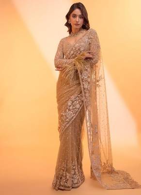 light chiku net saree with sequins embroidery 1