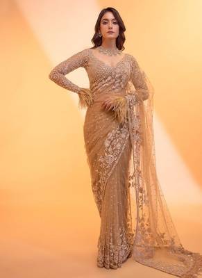 light chiku net saree with sequins embroidery 2