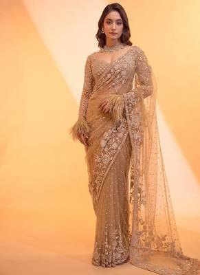 light chiku net saree with sequins embroidery 3