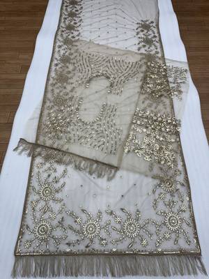 light chiku net saree with sequins embroidery 4