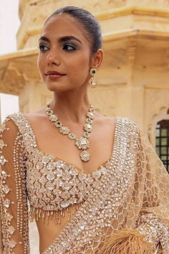 beige net saree with sequins embroidery work