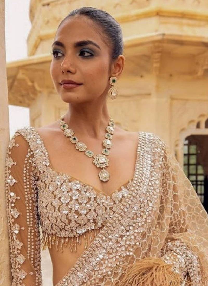 Beige color Sequins Embroidery work Mono Net Saree