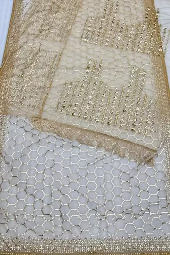 beige net saree with sequins embroidery work