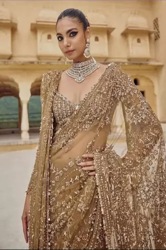 golden net saree with sequins embroidery work