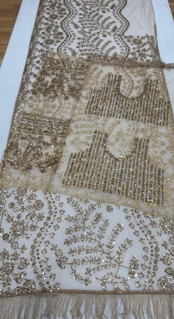 Light Beige color Sequins Embroidery work Mono Net Saree