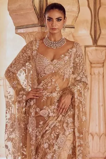 Light Chiku color Sequins Embroidery work Mono Net Saree