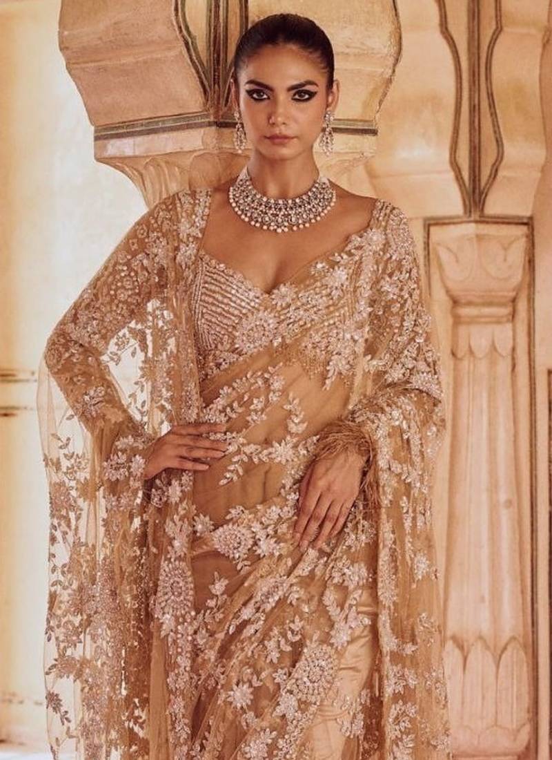 Light Chiku color Sequins Embroidery work Mono Net Saree