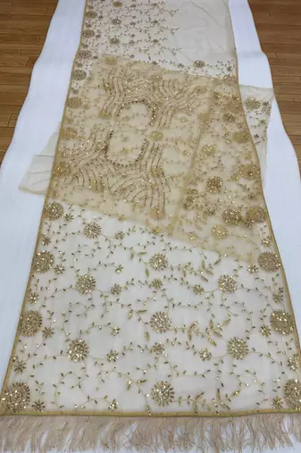 light chiku net saree with sequins embroidery work