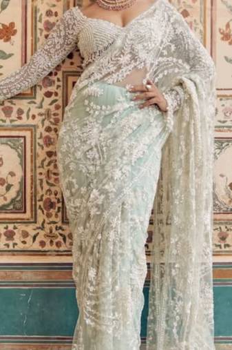 Light Sky Blue  color Sequins Embroidery work Mono Net Saree