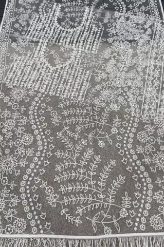 White color Sequins Embroidery work Mono Net Saree