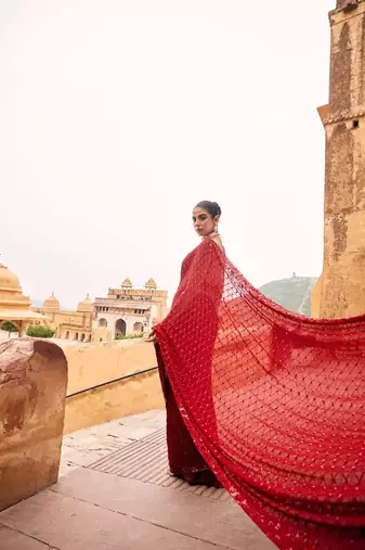 red georgette saree with sequins & multi embroidery