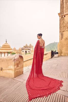 red georgette saree with sequins & multi embroidery 3