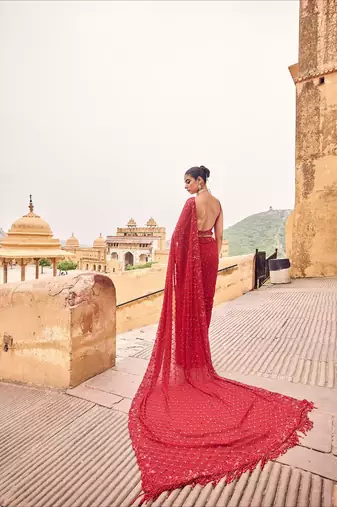 red georgette saree with sequins & multi embroidery
