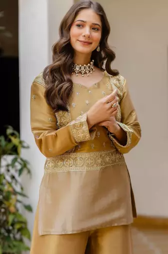 multicolor banarasi viscose co ord set with embroidery