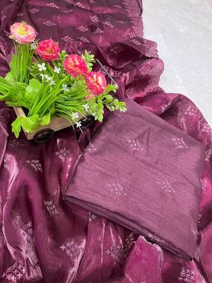 dark plum silk saree with 3mm sequins embroidery 2