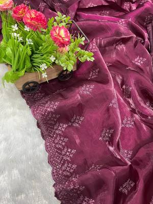 dark plum silk saree with 3mm sequins embroidery 3
