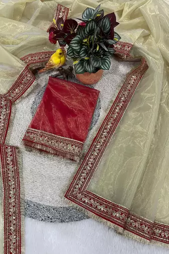 Beige Color Sequins with Jari Dori Embroidery Work Twill Net saree 