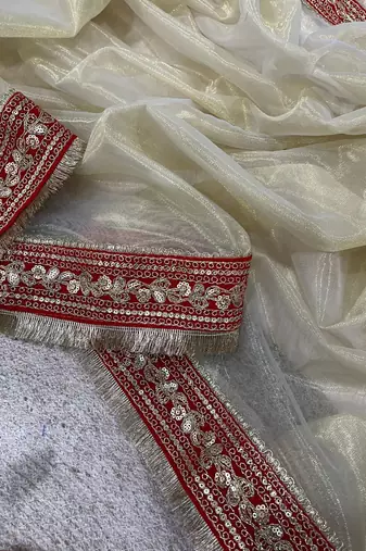 Beige Color Sequins with Jari Dori Embroidery Work Twill Net saree 