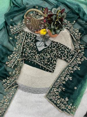 Green Color Sequins with Jari Thread Embroidery Work Chiffon Silk Saree 2