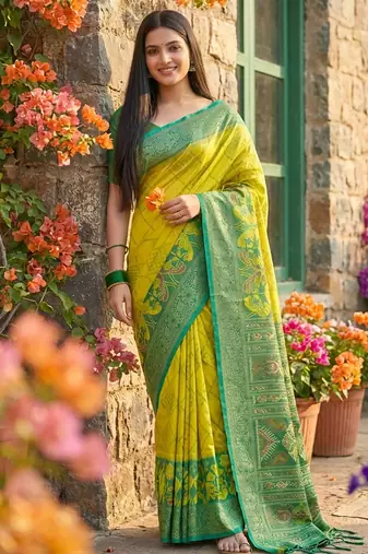 Olive pochampally printed saree with blouse